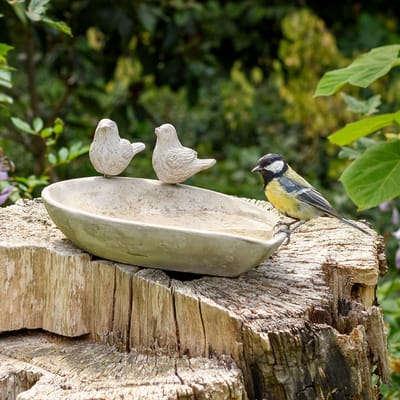 CJ Wildlife Vogeldrinkschaal voor Tuinvogels - Licony - Waterschaal van Beton - Vogelbad voor Buiten - Drinkschaal - Vogeldrinkbak