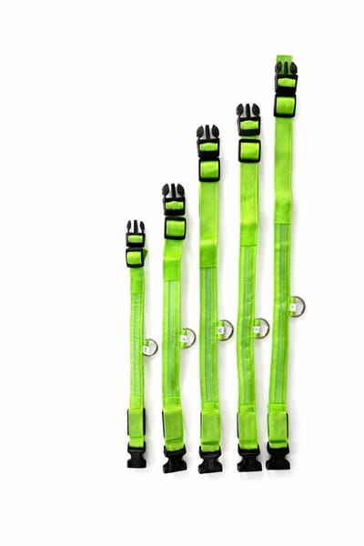 Max&Mand LED Hondenhalsband M Groen – USB Oplaadbaar – Verlichte Halsband Hond – Meerdere LED Kleuren – 4 Lichtstanden – Zichtbaar in Donker