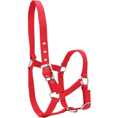 Hoge Dichtheid 6mm Verdikte Webbing Paardentuig Controle Halster Ruitersport Accessoires Rode Kleur red