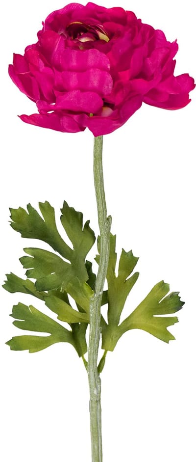 Kunstmatige ranunculus als enkele bloem voor een tijdloze en veelzijdi