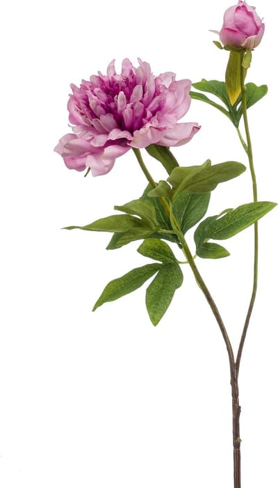 Emerald - Kunstbloem Pioenroos Sarah 73cm lila - Kunstplant voor binnen