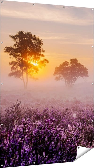 Gards Tuinposter Weide in de Veluwe bij Zonsondergang - 120x180 cm - Tuindoek - Tuindecoratie - Wanddecoratie buiten - Tuinschilderij