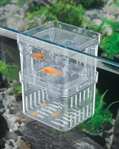 Transparante kweektray voor aquarium | Incubator voor babyvissen | Geschikt voor guppy's en betta's