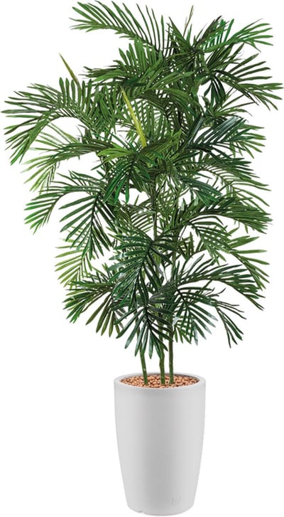 HTT - Kunstplant Areca palm in Genesis rond wit H190 cm