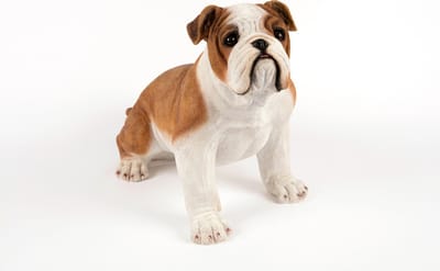 Johnson Bulldog