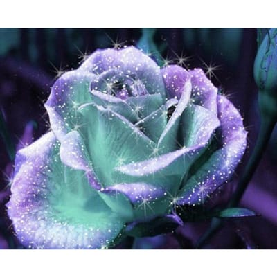 5D bricolage diamant peinture fleur  Magic Rose  diamant broderie point de croix strass mosaïque peinture 20X30CM gray