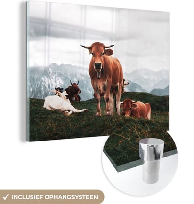 MuchoWow® Glasschilderij 40x30 cm - Schilderij acrylglas - Dieren - Koe - Berg - Foto op glas - Schilderijen