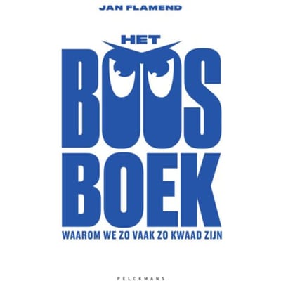 Het Boosboek - Jan Flamend