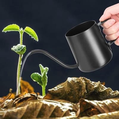 Mini Gieter voor Kamerplanten - 250 ml, Zwart, Roestvrij Staal met Lange Uitloop