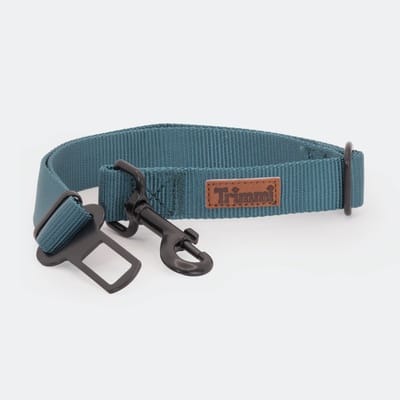 Nylon autogordel petrol - Autogordel hond - Autogordel verlengerstuk - Autogordel clip - Autoriem hond - Autoriem hond autogordel - Gordelclip - Gordel - hondenhalsband met naam - Halsbanden, riemen & tuigen - Trimmi