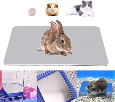 Deze koelmat is speciaal ontworpen voor konijnen. Gemaakt van aluminium, is hij geschikt voor hamsters, konijnen, puppy's, kittens, cavia's, chinchilla's en andere kleine dieren. Hij is voorzien van een ingebouwd ijsbed voor snelle koeling.