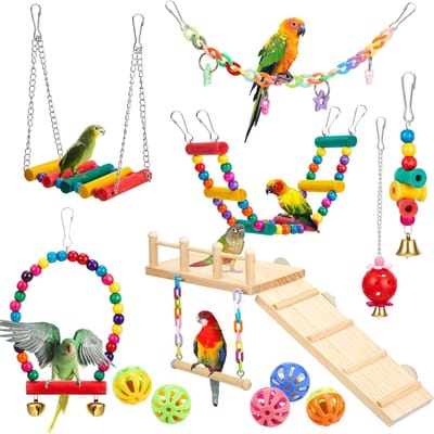 Vogel Speelgoed Set - Klimtouw Schommel - Vogelkooi Verrijking - Duurzaam Hout Materiaal - 12 Delig - Multicolor
