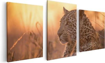 Artaza Canvas Schilderij Drieluik Luipaard Rust In De Zon - 120x60 - Foto Op Canvas - Canvas Print