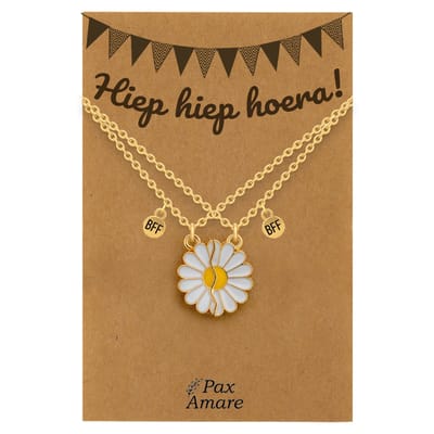 BFF Ketting voor 2 'Hiep Hiep Hoera' - Magnetische Bloem - Vriendschapsketting op Cadeau Kaartje - 45cm + 5cm verstelbaar - Goudkleurig - Verjaardags Hanger - Pax Amare