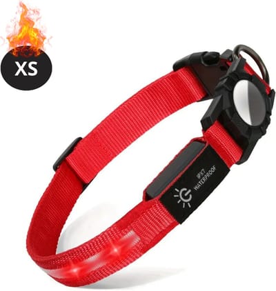 Bovista Lichtgevende Halsband - Verlichte Halsband - Lichtgevend - Hond - Kat - Lampje - Hondenhalsband Led - Oplaadbaar - Rood - XS