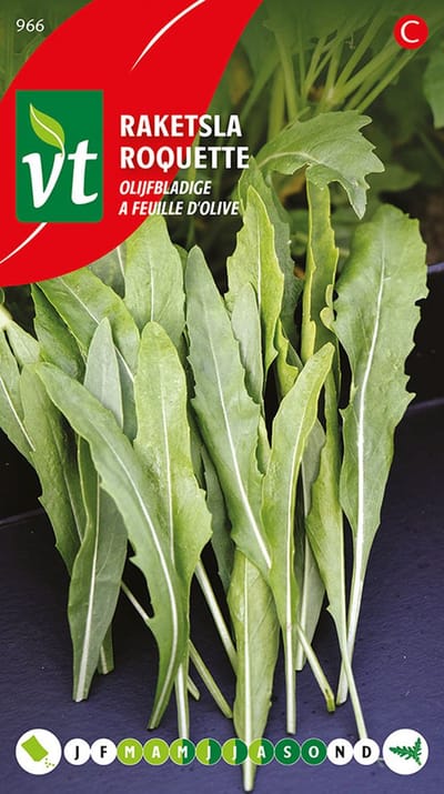 Raketsla 'Olijfbladige' Zaden - Authentieke Italiaanse Rucola