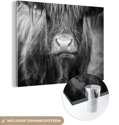 MuchoWow® Glasschilderij 160x120 cm - Schilderij acrylglas - Schotse Hooglander - Haar - Dieren - Foto op glas - Schilderijen