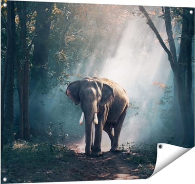 Gards Tuinposter Olifant in het Bos met Zonneschijn - 100x80 cm - Tuindoek - Tuindecoratie - Wanddecoratie buiten - Tuinschilderij