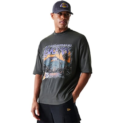 New Era NBA Washed Graphic Los Angeles Lakers T-shirt Grijs