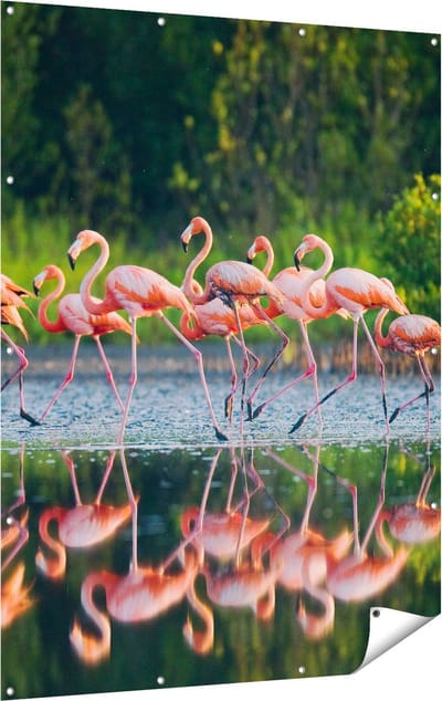 Gards Tuinposter Kudde Flamingo's op het Water - 120x160 cm - Tuindoek - Tuindecoratie - Wanddecoratie buiten - Tuinschilderij