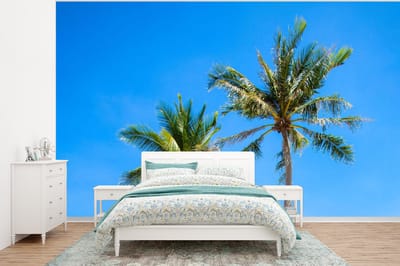 Behang - Fotobehang Palm - Zomer - Tropisch - Breedte 350 cm x hoogte 260 cm