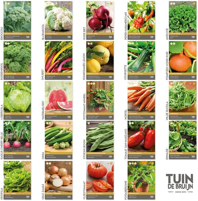 Groentezadenpakket - moestuin zaden - 24 soorten groenten kweken - wortel, radijs, bloemkool, boerenkool, tomaat, sla, spinazie en meer