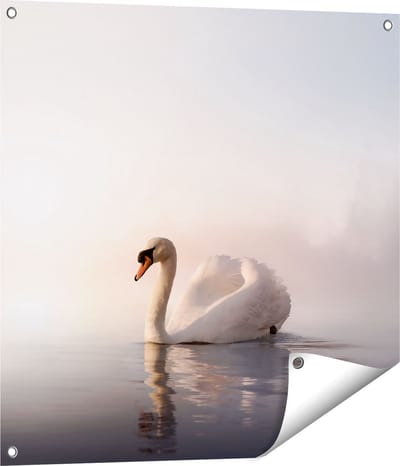 Gards Tuinposter Zwaan in het Water tijdens de Mist - 70x70 cm - Tuindoek - Tuindecoratie - Wanddecoratie buiten - Tuinschilderij