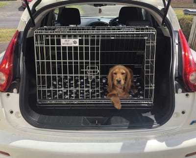 Schuine Honden Bench voor Auto - 32 Inch Opvouwbare Reiskooi met Noodluik