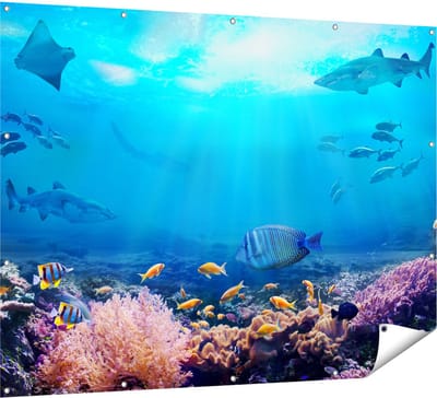 Gards Tuinposter Vissen met Haaien in de Oceaan met Koraalrif - 160x120 cm - Tuindoek - Tuindecoratie - Wanddecoratie buiten - Tuinschilderij