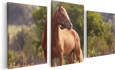 Artaza Canvas Schilderij Drieluik Bruin Paard In De Wei - 120x60 - Foto Op Canvas - Canvas Print