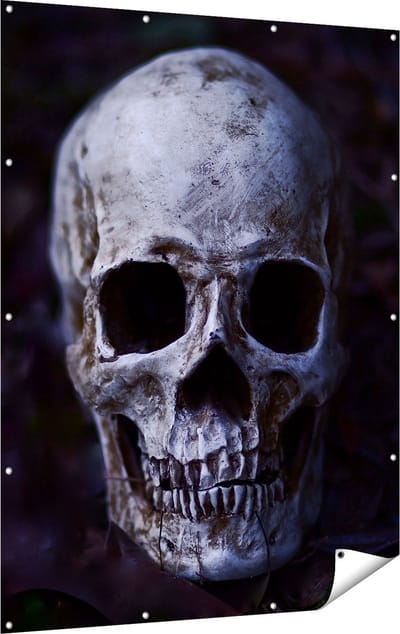 Gards Tuinposter Schedel - Doodshoofd - 120x160 cm - Tuindoek - Tuindecoratie - Wanddecoratie buiten - Tuinschilderij