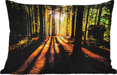 Buitenkussens - Tuin - Zon - Bomen - Bos - Landschap - Natuur - 50x30 cm