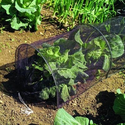 Drijvende Rijafdekking - Plantenbescherming Kweektunnel - Bescherming Tegen Weer - Gaas Hoge Dichtheid - 300 x 45 cm - Groen