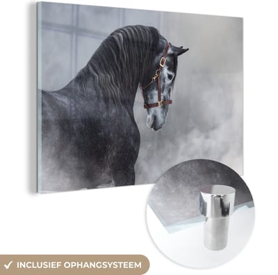 MuchoWow® Glasschilderij 60x40 cm - Schilderij acrylglas - Paard - Grijs - Bruin - Dieren - Rook - Foto op glas - Schilderijen