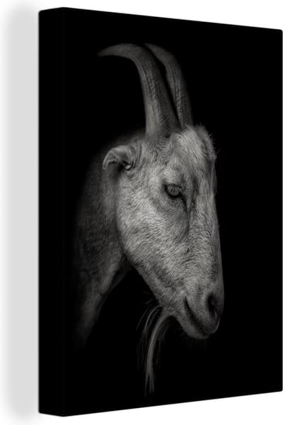 Canvas Schilderij Geitenportret zwart-wit print - 60x80 cm - Wanddecoratie