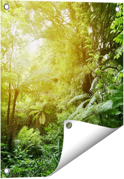 Gards Tuinposter Tropische Jungle met Zonneschijn - 40x50 cm - Tuindoek - Tuindecoratie - Wanddecoratie buiten - Tuinschilderij