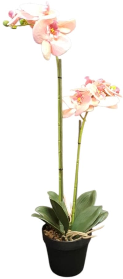 Mica Decorations kunstplant Phalaenopsis h67xD25cms Orchidee zalmon kleur