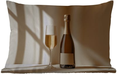 Buitenkussens - Tuin - Champagne - Beige - Schaduw - Bubbels - 50x30 cm