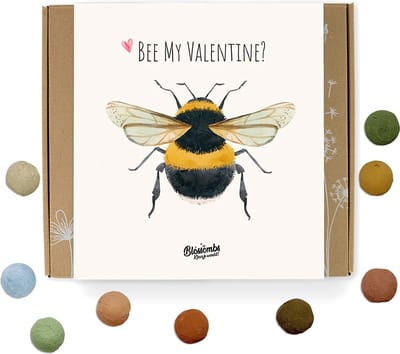 Blossombs Bloembommetjes Giftbox Medium - 9 Zaadbommetjes - Bee My Valentine - Valentijnsdag Cadeau