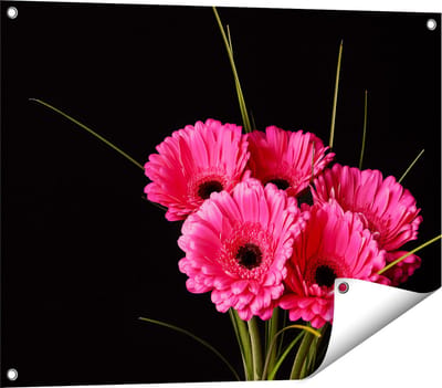 Gards Tuinposter Roze Gerbera Bloemen - 80x60 cm - Tuindoek - Tuindecoratie - Wanddecoratie buiten - Tuinschilderij