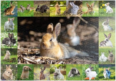 Puzzel Konijnen Collage - Legpuzzel Dieren - Ontspannen Vrije Tijd - Hoge Resolutie Print - 1000 Stukjes - Multicolor