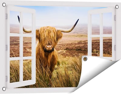 Gards Tuinposter Doorkijk Schotse Hooglander Koe in het Veld - 60x40 cm - Tuindoek - Tuindecoratie - Wanddecoratie buiten - Tuinschilderij