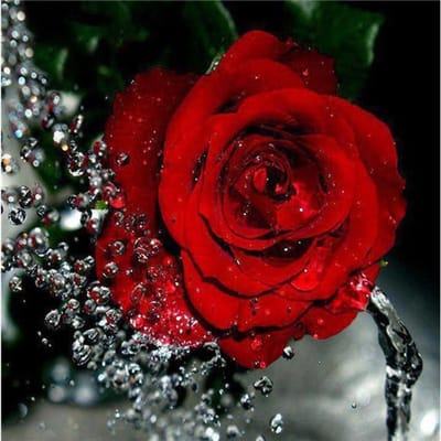 Peinture diamant thème fleur et papillon, broderie complète 5D, point de croix, mosaïque de fleurs, à faire soi-même, image 30X30CM red