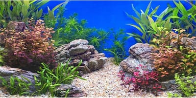 Aquarium achtergrond 76x46cm - vinyl - duurzaam en herbruikbaar - ideaal voor aquaria - SnelShoppen