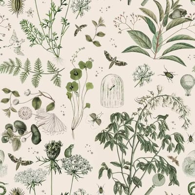 Baby behang Dekornik Green Botanical Stories