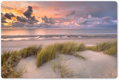 Placemats 45x30 cm - Placemat kunststof - 1 stuk - Zonsondergang - Duin - Strand - Planten - Zee - Borden onderleggers - Decoratie voor op tafel - Keuken tafeldecoratie accessoires - Vinyl onderlegger - Tafelversiering