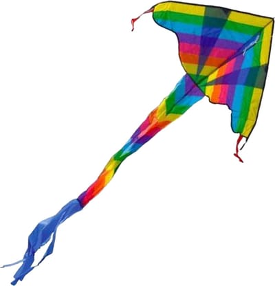 Vlieger dragon kite Rainbow
