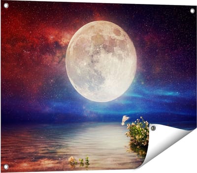 Gards Tuinposter Volle Maan in de Hemel boven het Water - 80x60 cm - Tuindoek - Tuindecoratie - Wanddecoratie buiten - Tuinschilderij