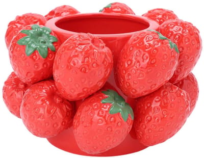 House of Nature Vaas Strawberry Delight 14cm