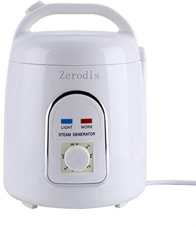Dailygoody - Draagbare Stoomgenerator - Thuis Sauna - Krachtige 850W Stoomfunctie - 1,5L Capaciteit - Perfect voor Ontspanning - Geschikt voor Thuisge